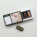 CHRYSALIDE PISTACHÔ