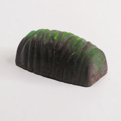 [CHRYSPIS] CHRYSALIDE PISTACHÔ